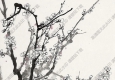于希寧國畫 白梅 (3) 高清大圖下載