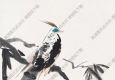 李瓊久國(guó)畫 杜鵑白鷴 高清大圖下載
