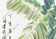 張書旗國畫 鴿 高清大圖下載