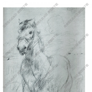 艾軒素描速寫_阿壩草原上的馬_高清下載