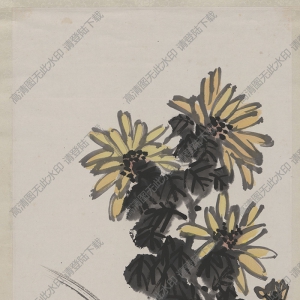李苦禪國(guó)畫_菊花圖軸_高清大圖下載