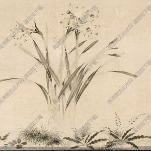 明 周天球《水仙圖》國(guó)畫(huà)高清大圖下載