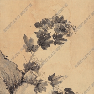 明末 李因《芙蓉鴛鴦圖》國(guó)畫(huà)高清大圖下載
