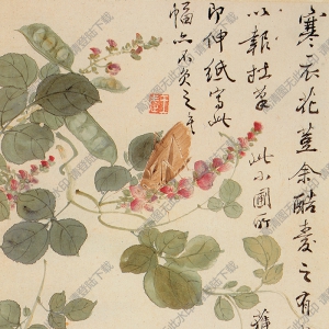 清 王武《花卉》-7國(guó)畫(huà)高清大圖下載