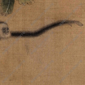 宋《蛛網(wǎng)攫猿圖》團(tuán)扇國畫高清大圖下載