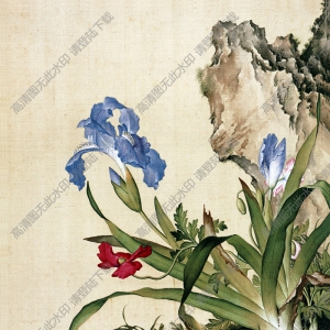 《虞美人蝴蝶花圖》國(guó)畫(huà)高清大圖下載
