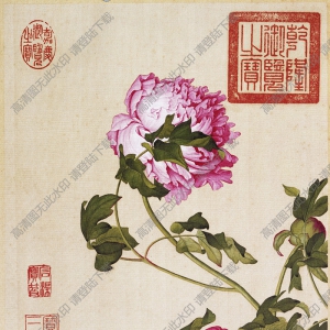郎世寧《牡丹圖》國(guó)畫(huà)高清大圖下載