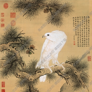 郎世寧_白鷹圖_高清大圖下載
