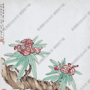 黃胄《八開(kāi)冊(cè)頁(yè)》-2國(guó)畫(huà)高清大圖下載