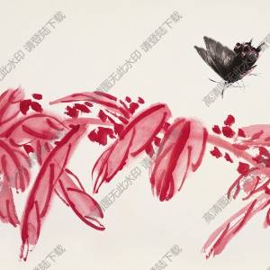 齊白石國(guó)畫作品_老來紅與蝴蝶_高清大圖下載