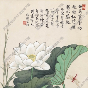 于非闇 國(guó)畫《荷塘蜻蜓翠鳥圖》清大圖下載