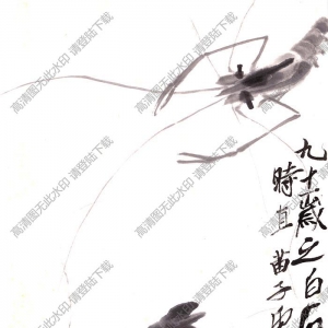 齊白石名畫_墨蝦圖贈黃苗子_九十一歲時作_高清大圖下載