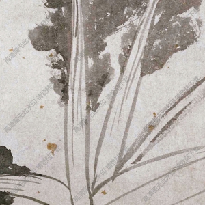 沈周 辛夷墨菜圖 國畫高清大圖下載
