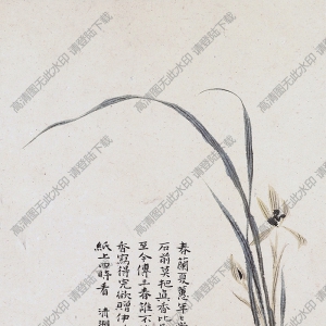 清 石濤《花卉》-2國(guó)畫(huà)高清大圖下載