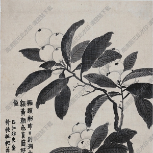 清 金農(nóng)《花卉》-9國(guó)畫(huà)高清大圖下載