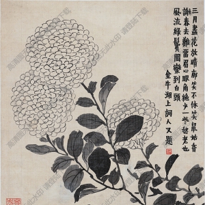 清 金農(nóng)《花卉》-10國(guó)畫(huà)高清大圖下載