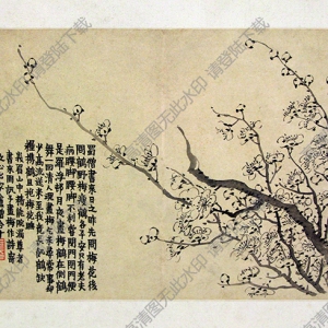 清 金農(nóng)《花卉圖》-5國(guó)畫(huà)高清大圖下載
