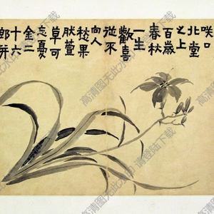 清 金農(nóng)《花卉圖》-11國(guó)畫(huà)高清大圖下載