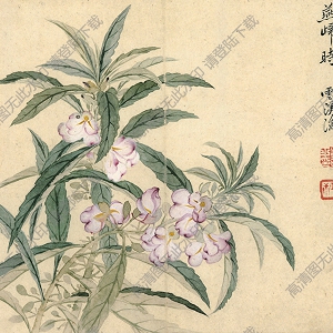 清 惲南田《風(fēng)仙花》國(guó)畫高清大圖下載