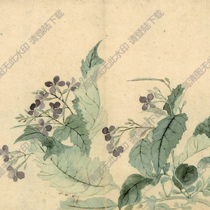 清 惲南田《海棠》國(guó)畫高清大圖下載