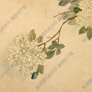 清 惲南田《花鳥草蟲》-8國(guó)畫高清大圖下載