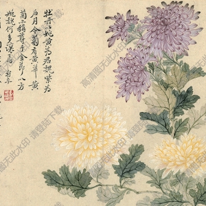 清 惲南田《菊花》國(guó)畫高清大圖下載