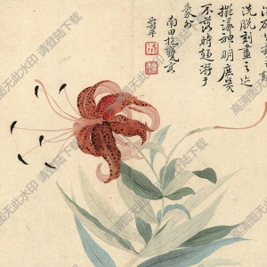清 惲南田《卷丹》國(guó)畫高清大圖下載