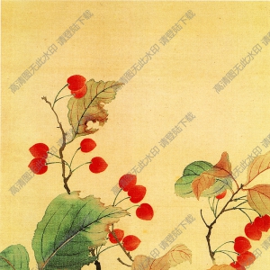 惲壽平《秋海棠圖》國畫高清大圖下載