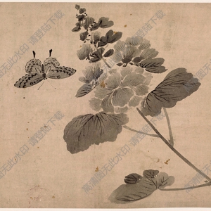 明 杜大成《花蝶草蟲圖冊頁》-6國畫高清大圖下載
