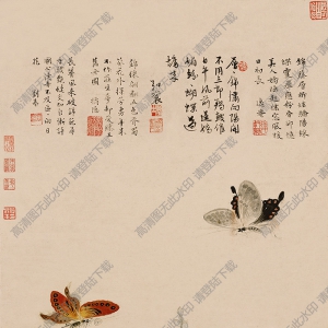 明 戴進(jìn)《葵石峽蝶圖》國畫高清大圖下載