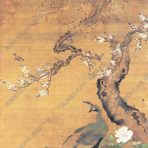 明 呂紀(jì)《杏花孔雀圖》國(guó)畫(huà)高清大圖下載