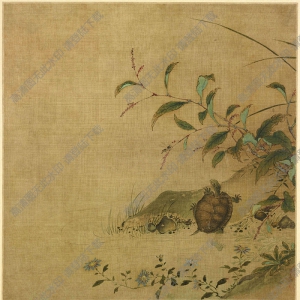 宋 佚名《蓼龜圖》國(guó)畫高清大圖下載
