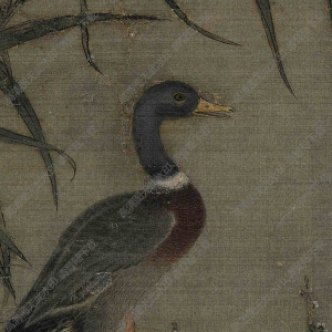 宋 佚名《溪蘆野鴨圖》國(guó)畫高清大圖下載