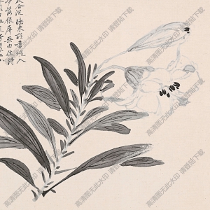 明 周之冕《仿陳道復(fù)花卉卷》國(guó)畫(huà)高清大圖下載
