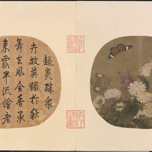 朱紹宗超高清《菊叢飛蝶圖》國畫百度云網盤下載