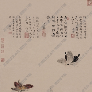 戴進超高清《葵石蛺蝶圖》國畫百度云網盤下載