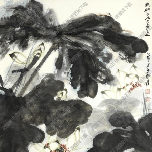 張大千作品_荷花圖_乙酉二月大千張爰_高清下載