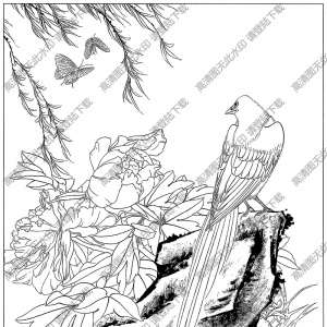 牡丹線描畫(huà)20高清大圖下載