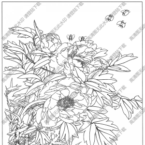牡丹線描畫(huà)39高清大圖下載