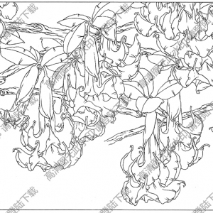 曼陀羅白描線稿18高清圖片下載