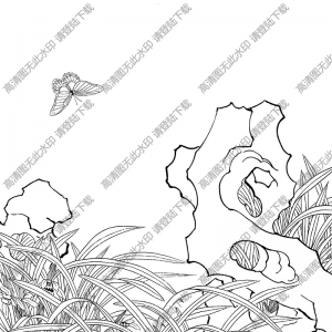 蘭花線描畫底稿46高清大圖下載