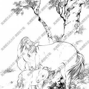 馬 駿馬線描畫(huà)底稿12高清大圖下載