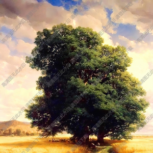 卡拉姆油畫_橡樹風(fēng)景_高清大圖下載