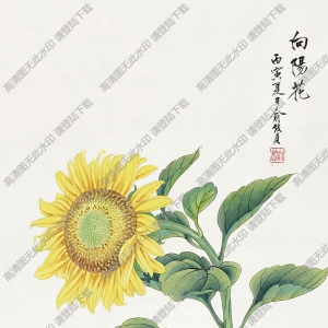 俞致貞國(guó)畫作品 向陽花2 高清下載