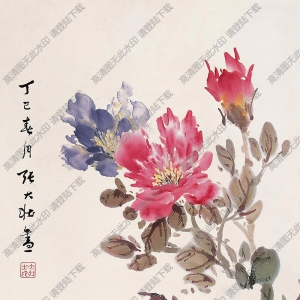 張大壯國(guó)畫作品 五色牡丹 高清下載