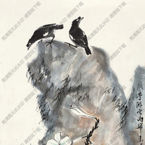 婁師白國(guó)畫作品 玉簪八哥 高清下載
