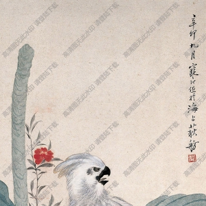 江寒汀國(guó)畫 芭蕉鸚鵡 高清大圖下載