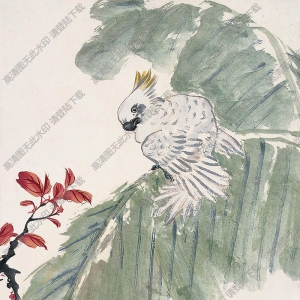 江寒汀國(guó)畫 芭蕉鸚鵡2 高清大圖下載