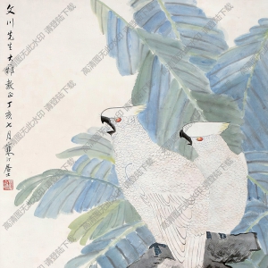 江寒汀國(guó)畫 芭蕉鸚鵡3 高清大圖下載