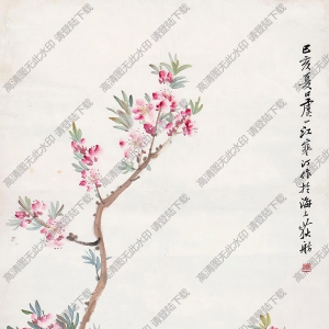 江寒汀國(guó)畫作品 桃花八哥 高清下載